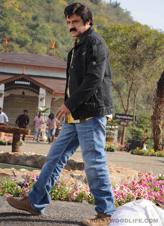 Nandamuri Balakrishna to join politics