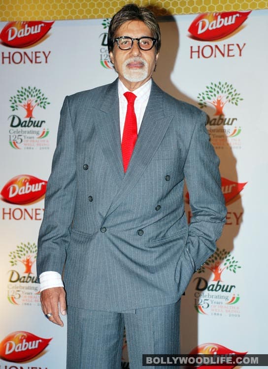 Will Amitabh Bachchan say yes to Sudhir Mishra?