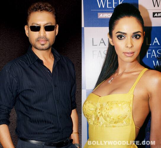 Irrfan Khan, Mallika Sherawat in Sudhir Mishra’s next?