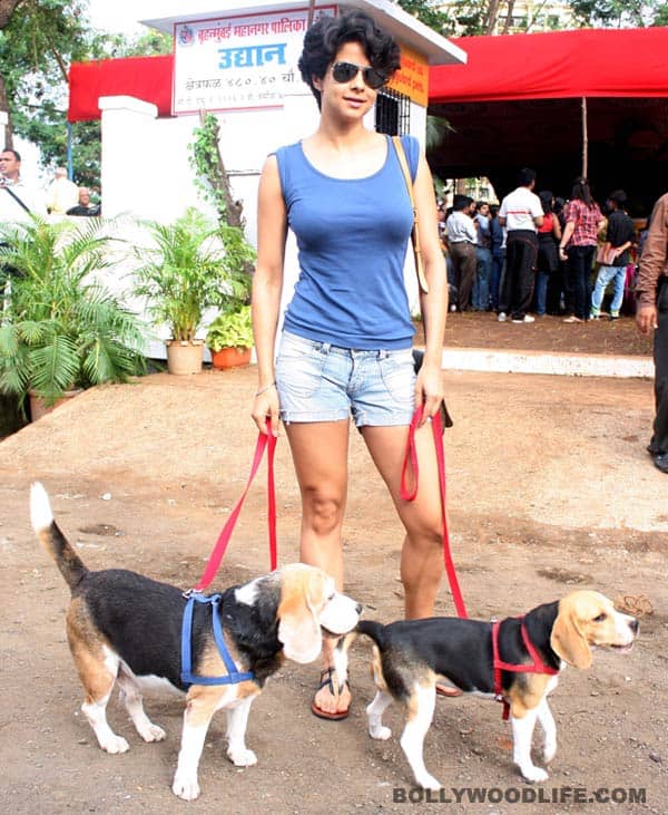 Gul Panag at the inauguration of the Pet Park at Yari Road