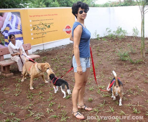 Gul-Panag-2-030712