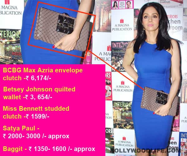 Why is Sridevi carrying such a dull clutch? Why is Sridevi carrying such a dull clutch?