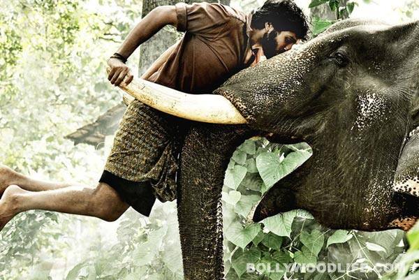 Vijay Sethupathi's films selected for Norway film festival