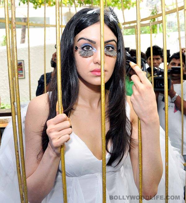 Adah Sharma urges people not to lock up animals in cages! Adah Sharma urges people not to lock up animals in cages!