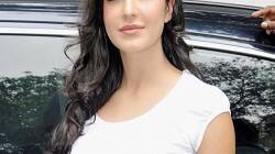 Kaizad Gustad wants to work with Katrina Kaif