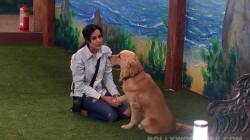 Bigg Boss 7 diaries