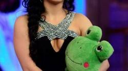 Bigg Boss 7, Mickey Virus