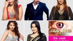 Bigg Boss 7