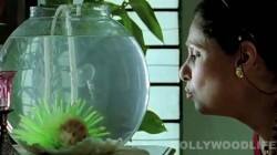 What The Fish! first trailer