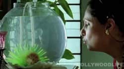 What The Fish, Dimple Kapadia