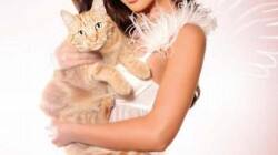 Amy Jackson: An angel to animals