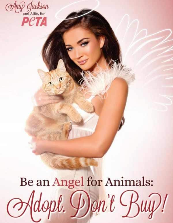 Amy Jackson: An angel to animals Amy Jackson: An angel to animals