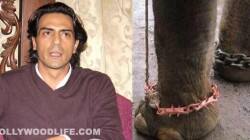 Will Arjun Rampal win justice for Sunder, the abused elephant?