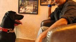 Sunil Bohra Dawood Ibrahim