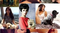 Salman Khan, Nargis Fakhri and Varun Dhawan’s puppy love!