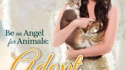 Alia Bhatt turns an angel for animals, poses for PETA