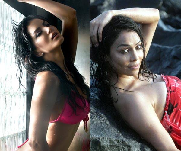 Nikita-Sunny-2-2404143