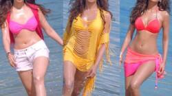 Bipasha Basu, Esha Gupta or Tamannaah: Who is the hottest bikini babe?