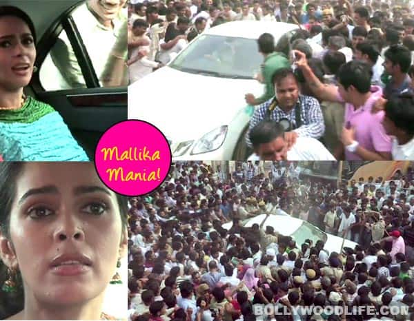Mallika Sherawat creates mass hysteria – watch video! Mallika Sherawat creates mass hysteria – watch video!