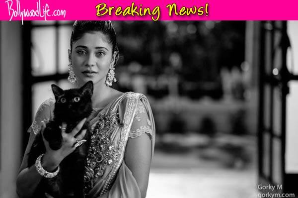 Qubool Hai to see the re-entry of Razia Begum and a new villain! Qubool Hai to see the re-entry of Razia Begum and a new villain!