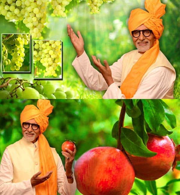 Amitabh Bachchan endorses a campaign for free, again! Amitabh Bachchan endorses a campaign for free, again!