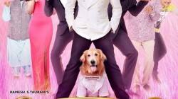 Its Entertainment, Akshay Kumar, Tamannaah Bhatia, Sonu Sood, Prakash Raj, Mithun Chakraborty, Krushna Abhishek, Johnny Lever