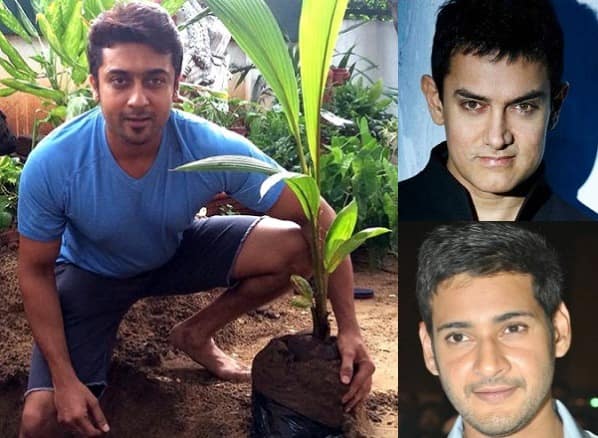 Suriya takes My Tree Challenge, nominates Aamir Khan, Mahesh Babu and Sudeep! Suriya takes My Tree Challenge, nominates Aamir Khan, Mahesh Babu and Sudeep!