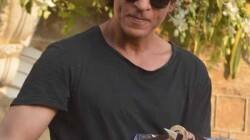 Shah Rukh Khan, Shahrukh Khan, Shah Rukh Khan birthday