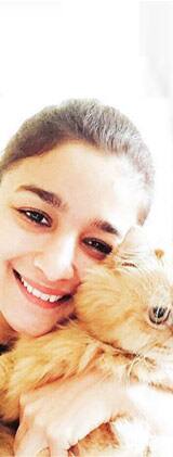 5 pics of Alia Bhatt with her cutesy cat Pica that will make Sidharth Malhotra JEALOUS!