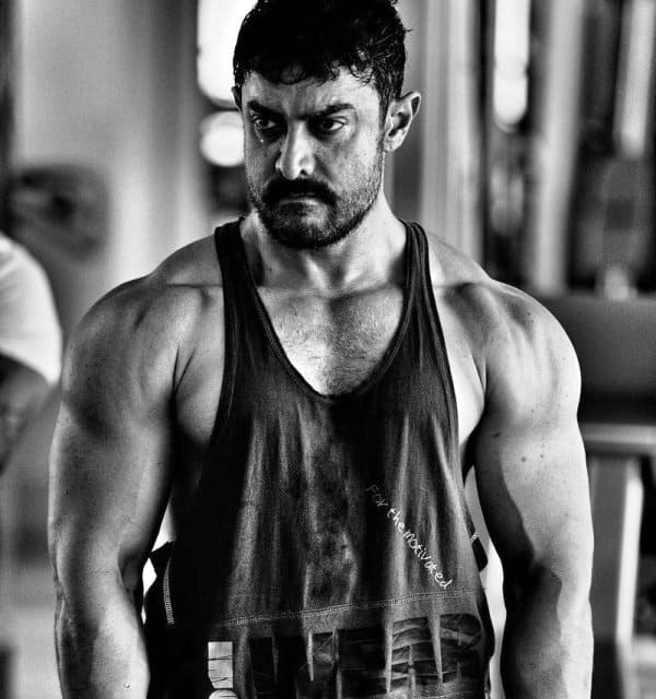 Dangal Tamil Movie Download Torrent