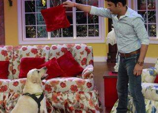 Kapil Sharma's canine love will make you long for a cuddly companion - view pics! Kapil Sharma's canine love will make you long for a cuddly companion - view pics!