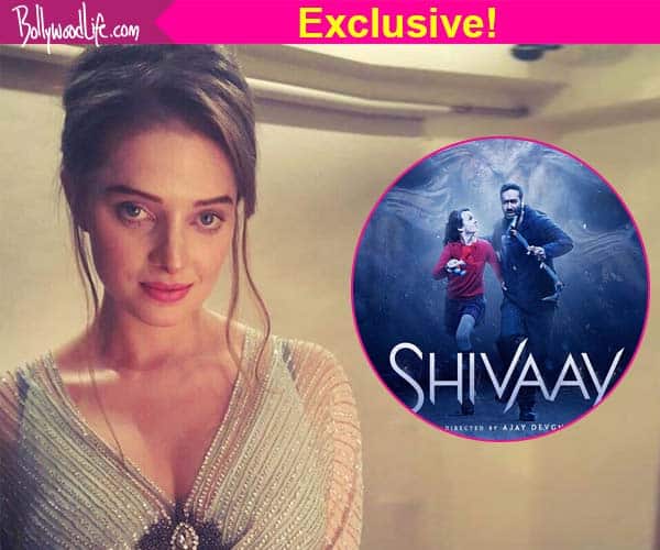 After Ajay Devgn’s Shivaay heroine Erika Kaar going hollywood After Ajay Devgn’s Shivaay heroine Erika Kaar going hollywood