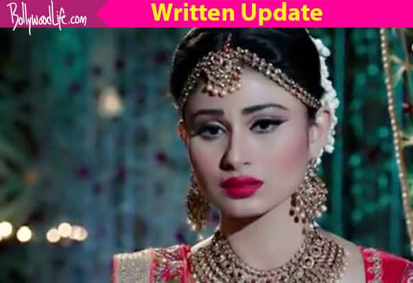 Naagin 2 11th December 2016 Full Episode, Written Update: Rocky