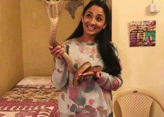 Shruti Ulfat arrested or not? Here's an official clarification on the whole case Shruti Ulfat arrested or not? Here's an official clarification on the whole case