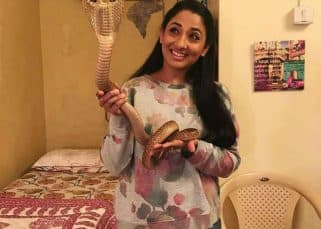 TV actress Shruti Ulfat ARRESTED for mishandling a cobra; shocking video goes viral TV actress Shruti Ulfat ARRESTED for mishandling a cobra; shocking video goes viral