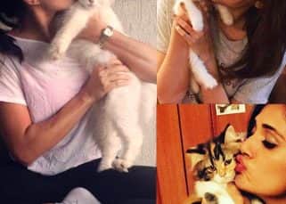 Alia Bhatt, Jacqueline Fernandez, Richa Chadda - 5 Bollywood divas who would make perfect ambassadors for International Cat Day Alia Bhatt, Jacqueline Fernandez, Richa Chadda - 5 Bollywood divas who would make perfect ambassadors for International Cat Day