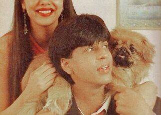 Gauri Khan retouches an 'ancient' photo with Shah Rukh Khan and we are stoked! Gauri Khan retouches an 'ancient' photo with Shah Rukh Khan and we are stoked!