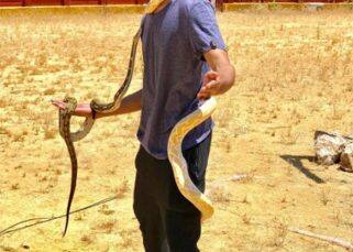 Khatron Ke Khiladi 8: Shantanu Maheshwari declared WINNER of Rohit Shetty's show? Khatron Ke Khiladi 8: Shantanu Maheshwari declared WINNER of Rohit Shetty's show?