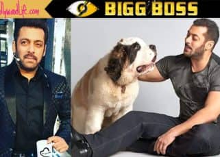 Bigg Boss 11: Salman Khan apologises to dogs on the latest episode - here is why Bigg Boss 11: Salman Khan apologises to dogs on the latest episode - here is why