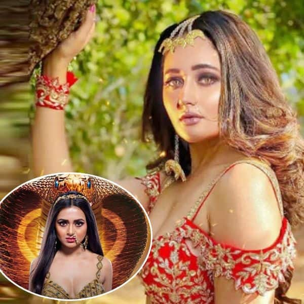 Naagin 6 Rashami Desai Getting Paid More Than Show S Lead Tejasswi