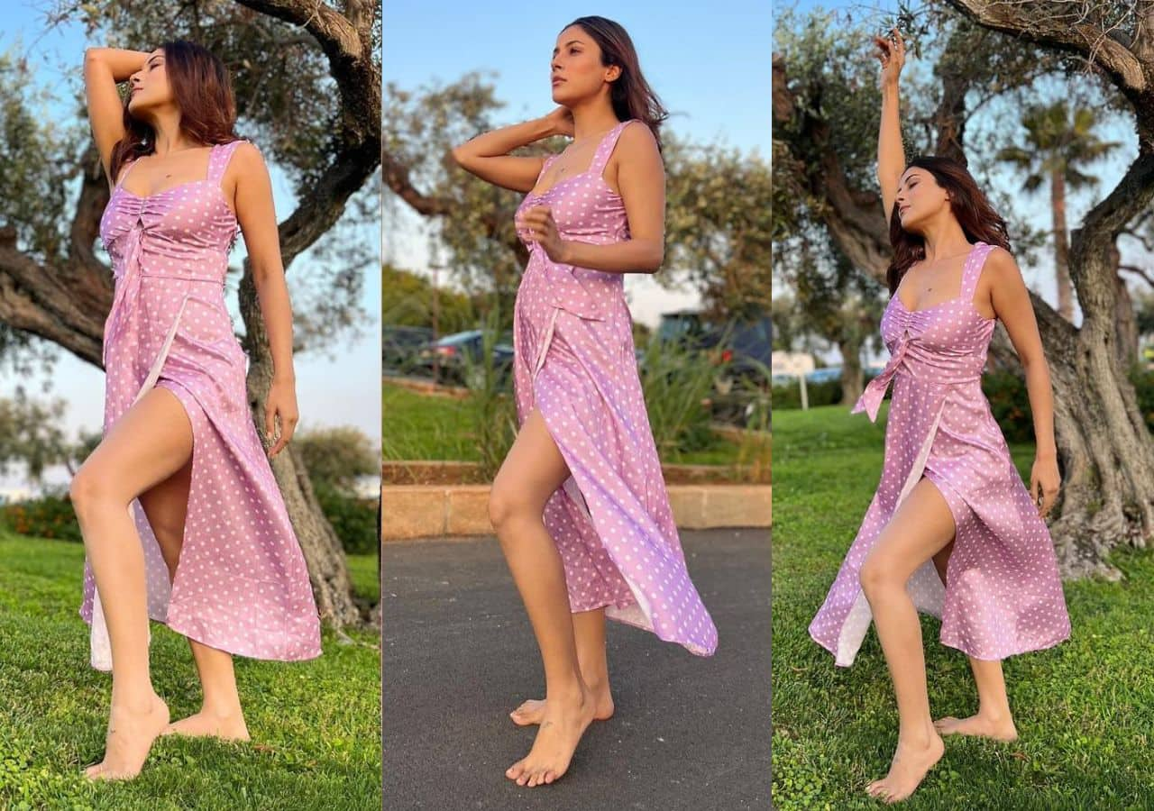 Shehnaaz Gill flaunts her toned legs in latest photos शहनज गल न