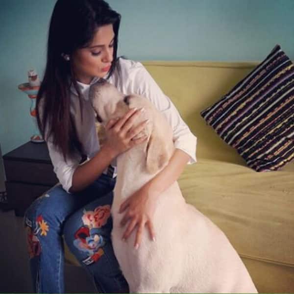 Jennifer Winget with her labrador 'Breezer'