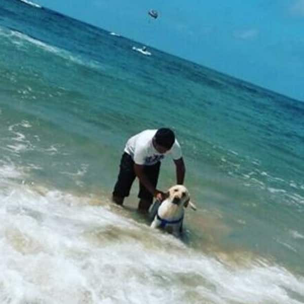 Jinnifer Winget papmers her dog breezer like a baby
