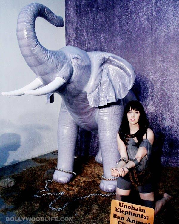 redhead abused fucked lauren gottlieb nued picks