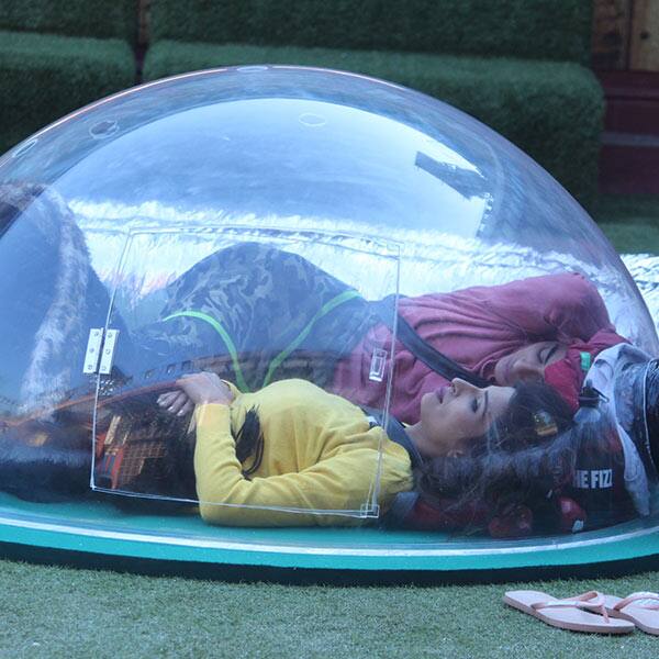 Bani voluntarily loses the dome task Bani voluntarily loses the dome task