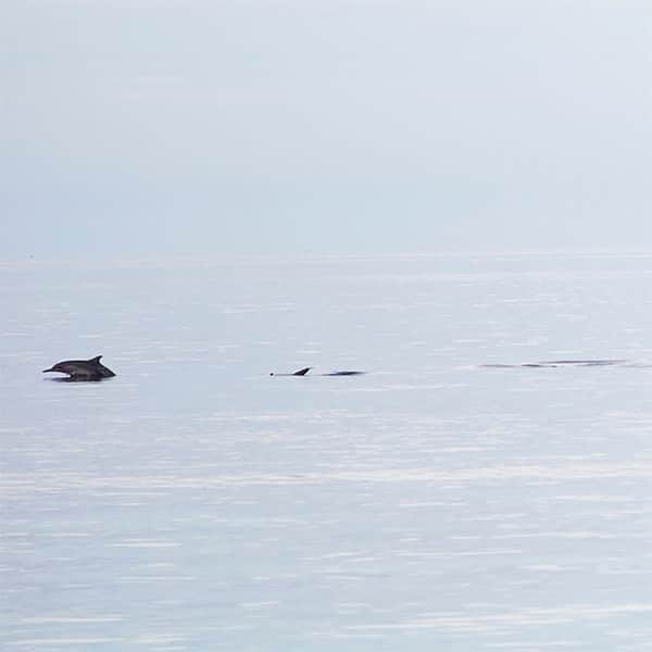 Katrina Kaif shared these beautiful pictures of Maldives on her Facebook account