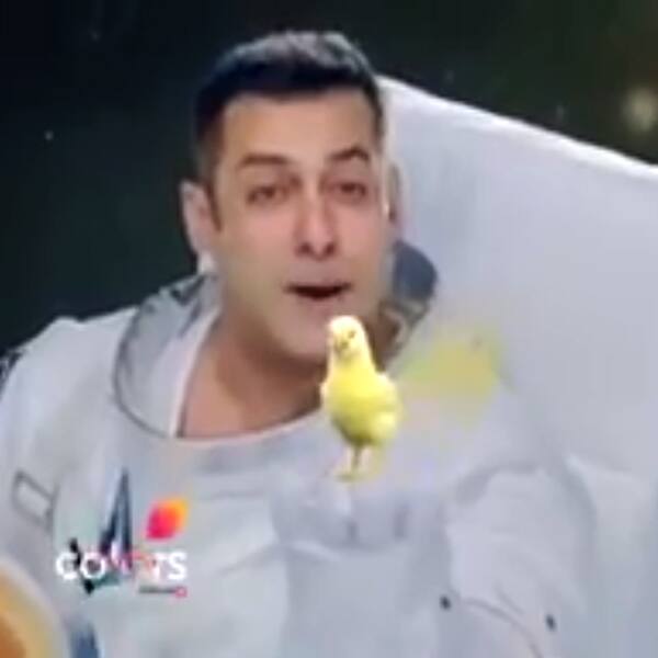 Salman Khan demonstrating season 10 in the promo Salman Khan demonstrating season 10 in the promo