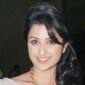 Shahid Kapoor and Parineeti Chopra in Yash Raj’s&nbsp;next?