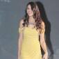 ‘Rockstar’ babe Nargis Fakhri gets her own live&nbsp;portrait!