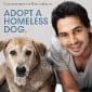 Dino Morea promotes stray dog adoption with&nbsp;PeTA